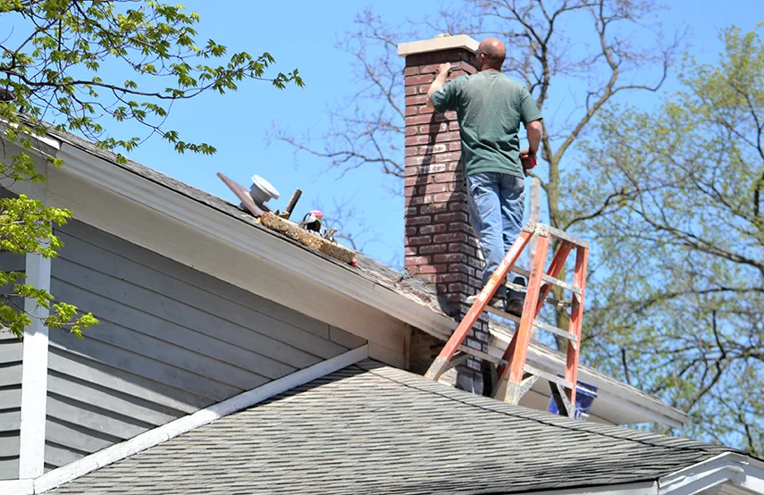 Chimney & Fireplace Inspections Services in Westland, MI